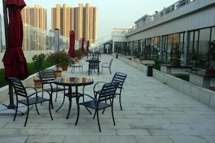 Un patio exterior con mesas y sillas, plantas en macetas y vistas de edificios altos.