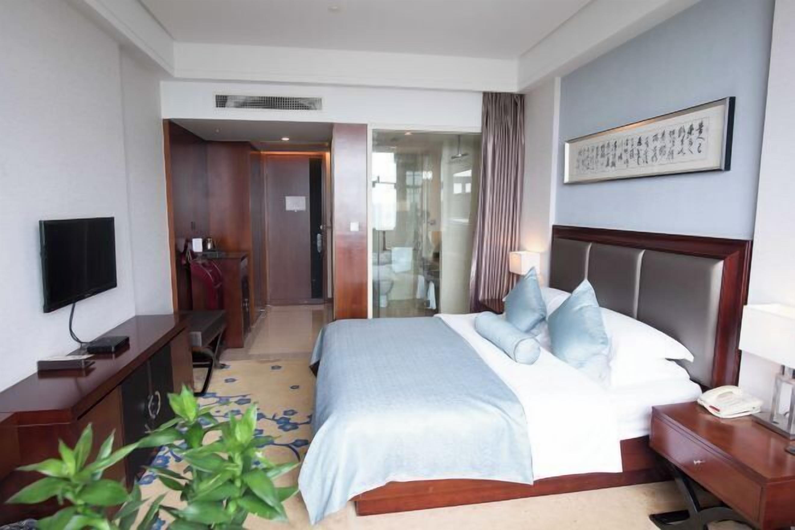 A hotel room with a bed, bedside table, TV, and a plant.