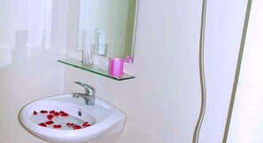 Shower, hair dryer, towels
