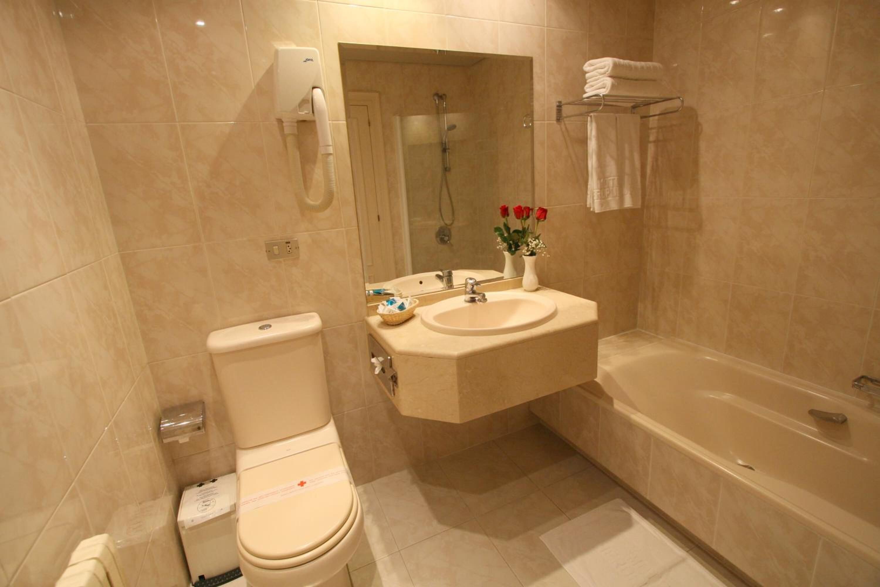 combined shower/bathtub, free toiletries, hair dryer, bidet