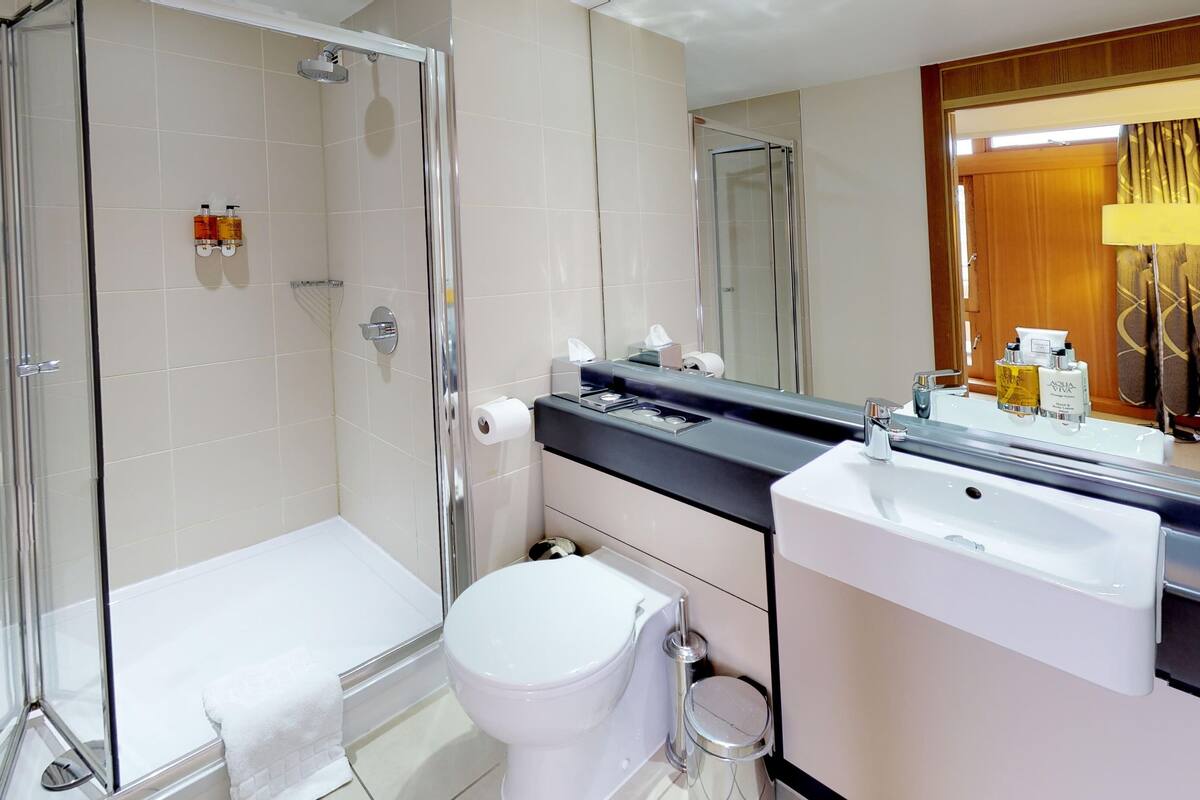 executive double room, 1 double bed | bathroom | shower, hair dryer, towels, soap
