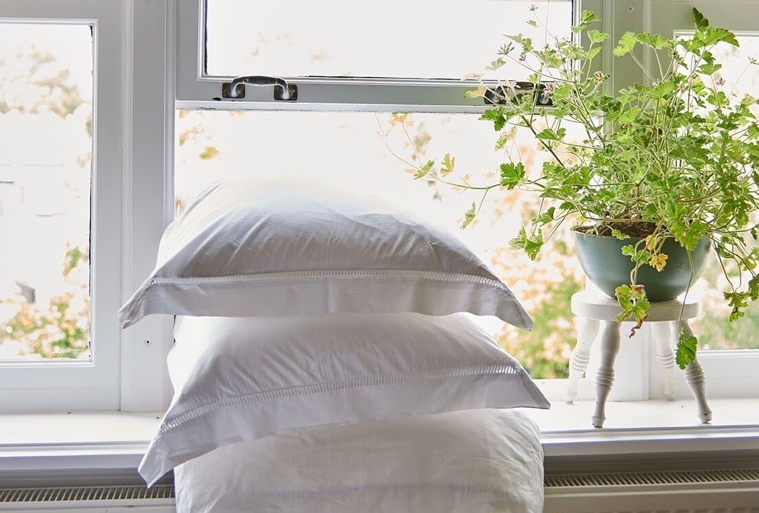 A window with two white pillows and a potted plant on a windowsill.
