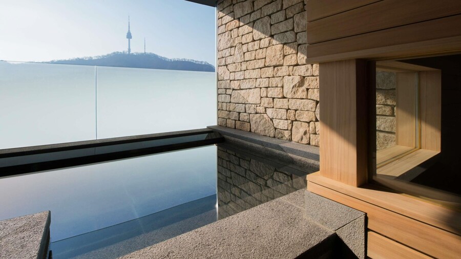 ibis Styles Ambassador Seoul Myeongdong