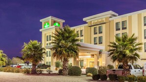 A hotel with a modern design, featuring a prominent green sign on the top, multiple windows, and a well-maintained garden with palm trees. - La Quinta Inn & Suites by Wyndham Carlsbad (Carlsbad)