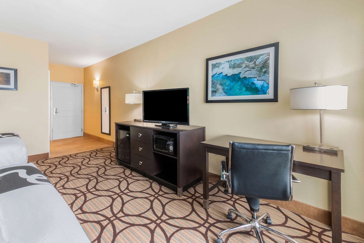 A hotel room with a bed, a desk, a chair, a television, a lamp, and a painting on the wall.