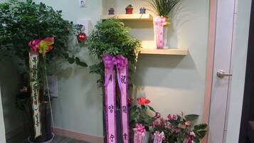 A room with a wooden floor, a potted plant with a pink ribbon, a shelf with small potted plants, and a door.