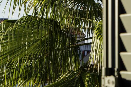 Camera doppia, bagno in camera, vista giardino (Suite Junior) | Esterni