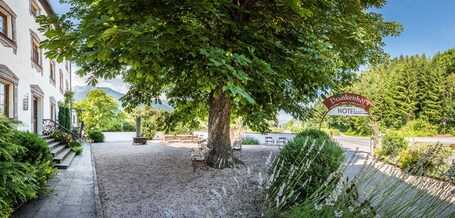 Jardín