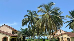 Un resort con varias construcciones, palmeras y un cielo azul despejado.
