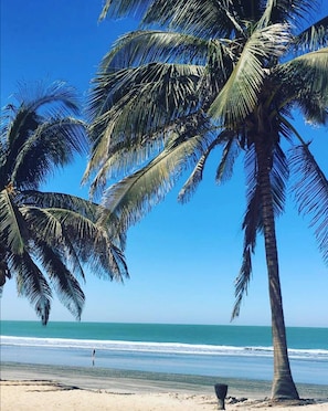 A beach with palm trees and a clear blue sky. - Kololi Beach Resort (Serrekunda)