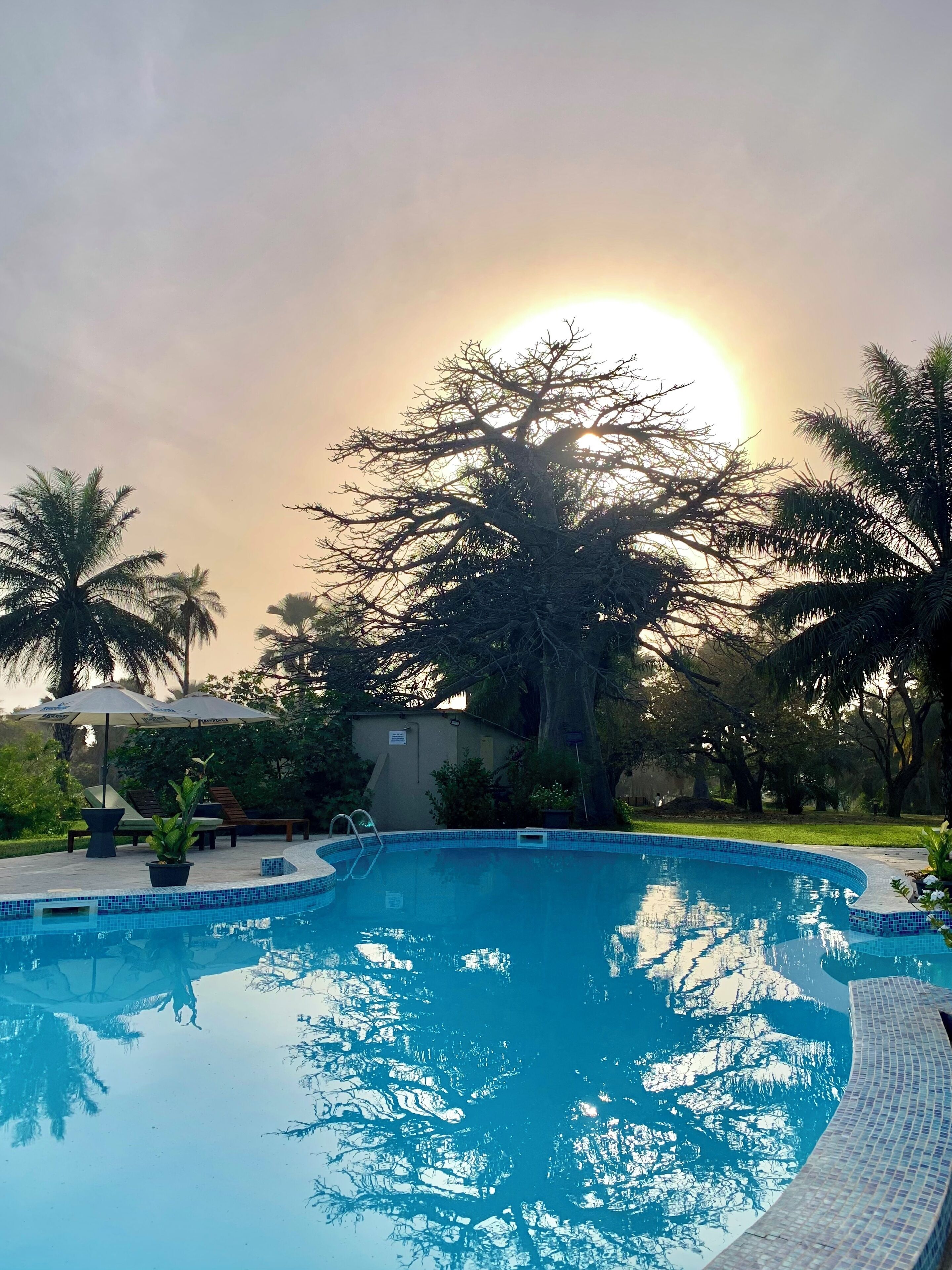 2 outdoor pools, open 7:30 AM to 6:00 PM, pool umbrellas, pool loungers