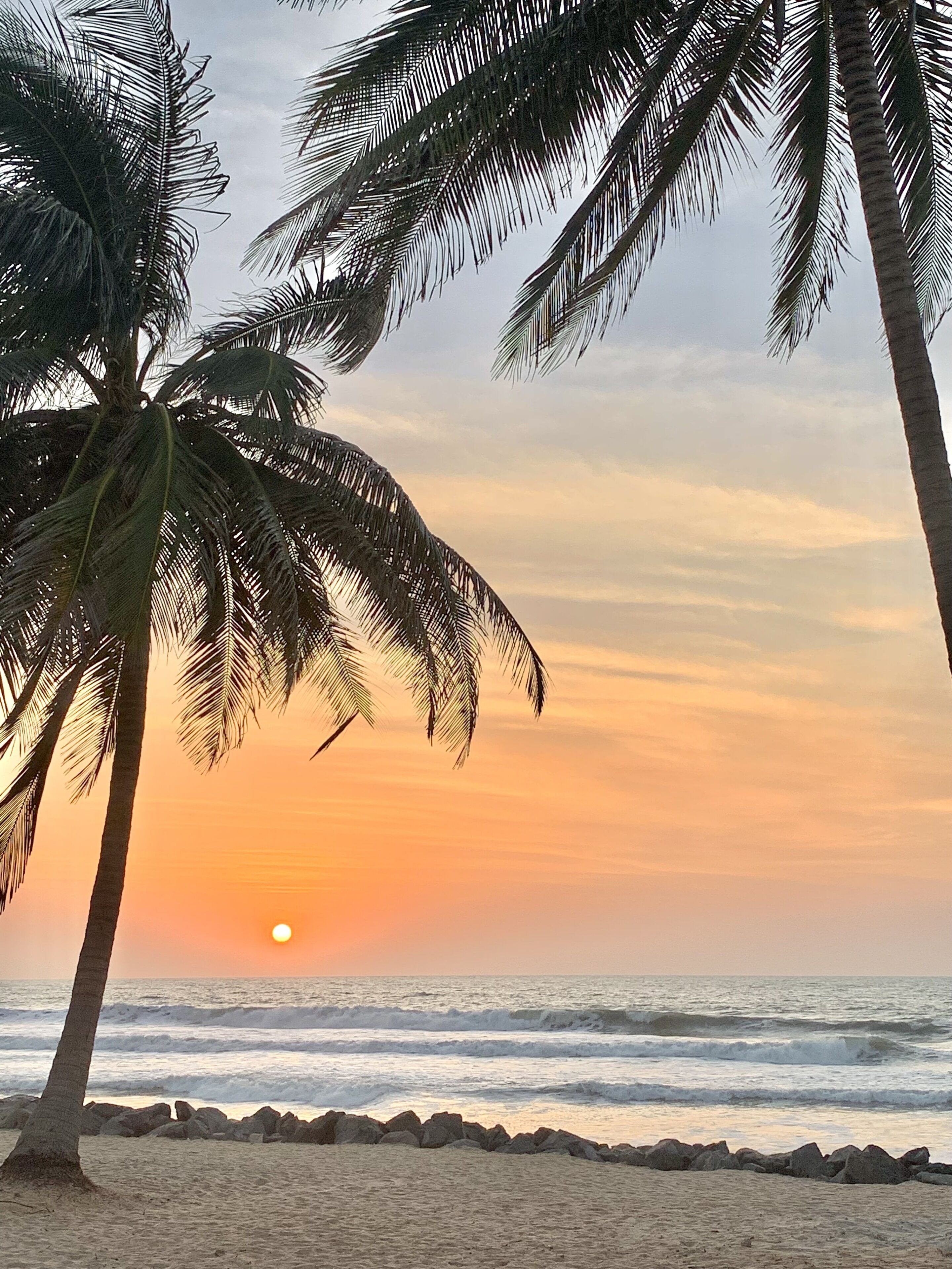 A beach with palm trees and a sunset over the ocean.