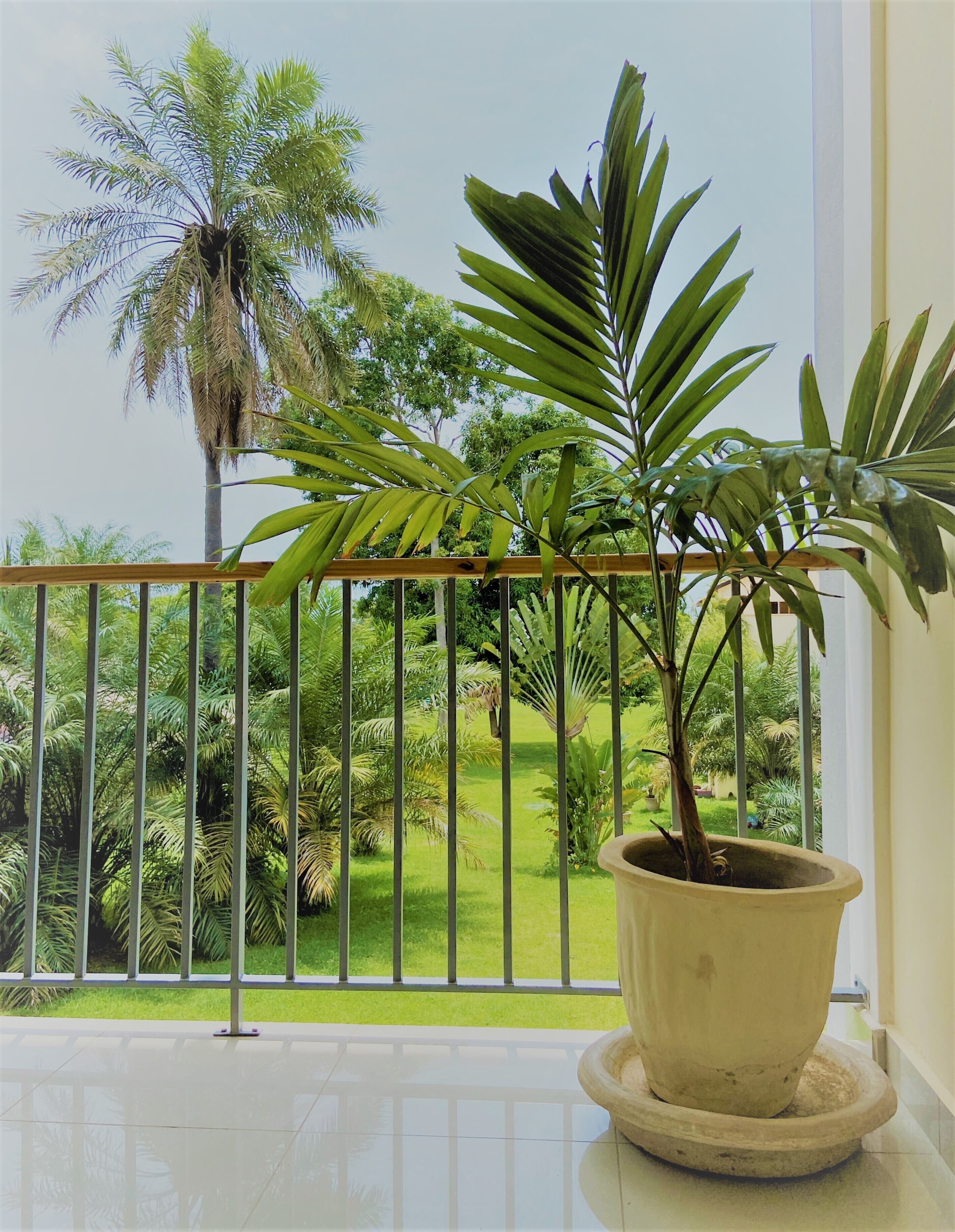 A balcony with a potted plant, a metal railing, and a view of a lush garden with various trees.