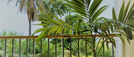 A balcony with a potted plant, a metal railing, and a view of a lush garden with various trees.