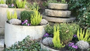 A garden with various plants and concrete planters. - Das Hotel Ostseeblick (Luetjenburg)