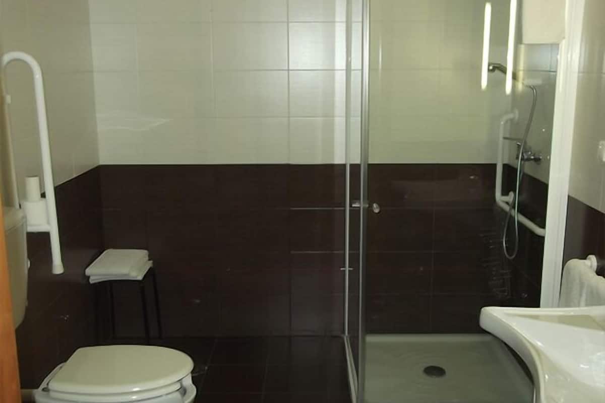 shower, free toiletries, hair dryer, towels