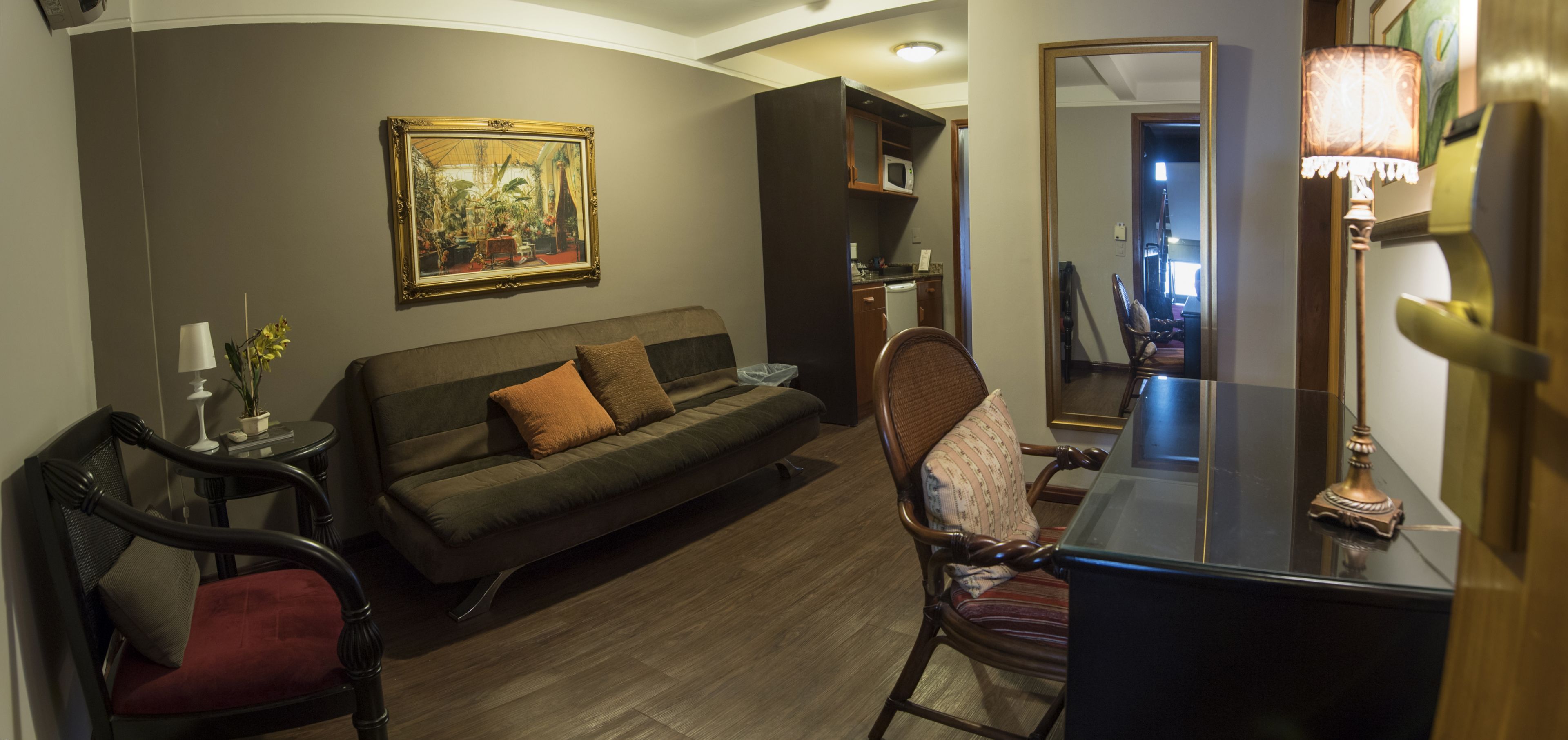 standard single room | living room | plasma tv