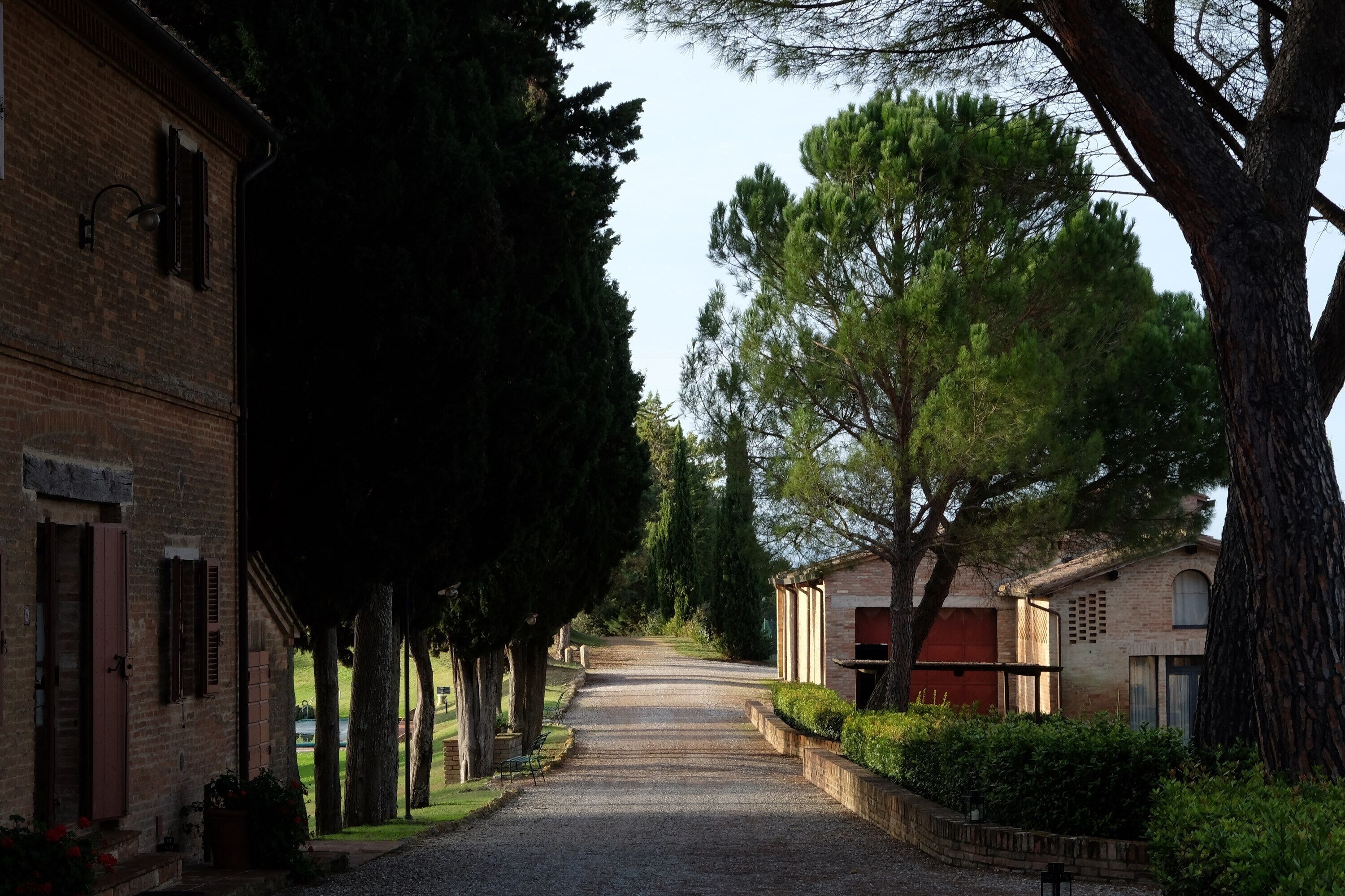 A narrow, paved pathway flanked by trees and buildings with brick facades and shuttered windows.