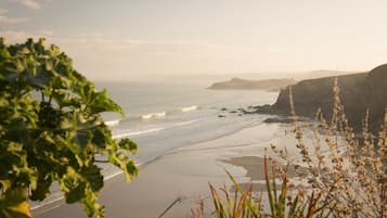 A coastal landscape with a beach, cliffs, and vegetation.