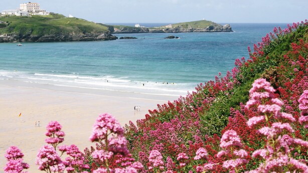 A coastal beach with a large building on a hill, a sandy shore, and pink flowers in the foreground. - Great Western Hotel (Newquay)