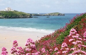A coastal beach with a large building on a hill, a sandy shore, and pink flowers in the foreground. - Great Western Hotel (Newquay)