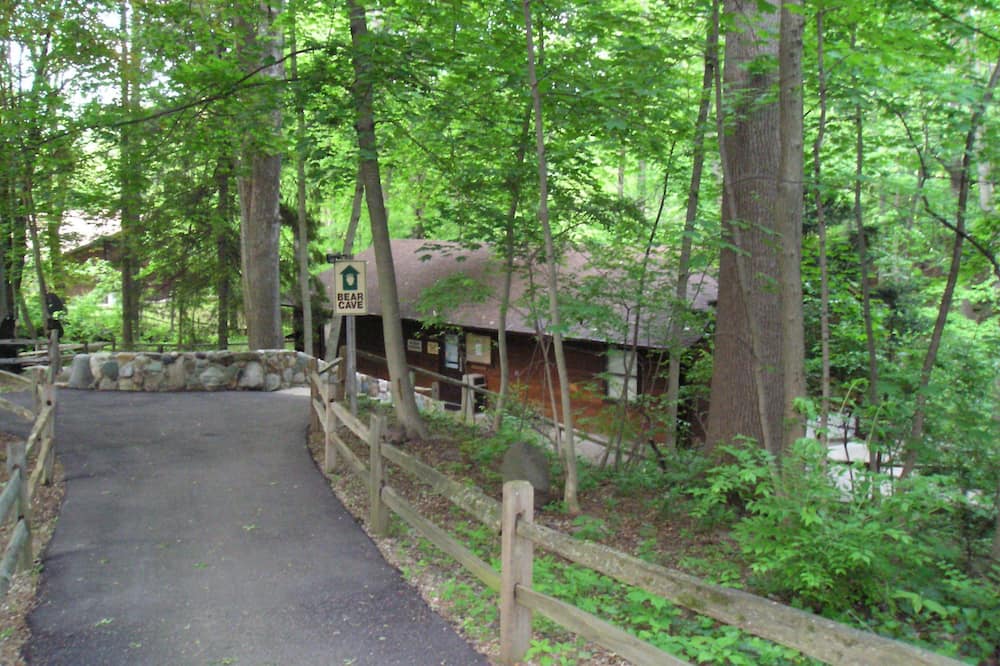 Bear Cave RV Campground - Berrien Center, MI