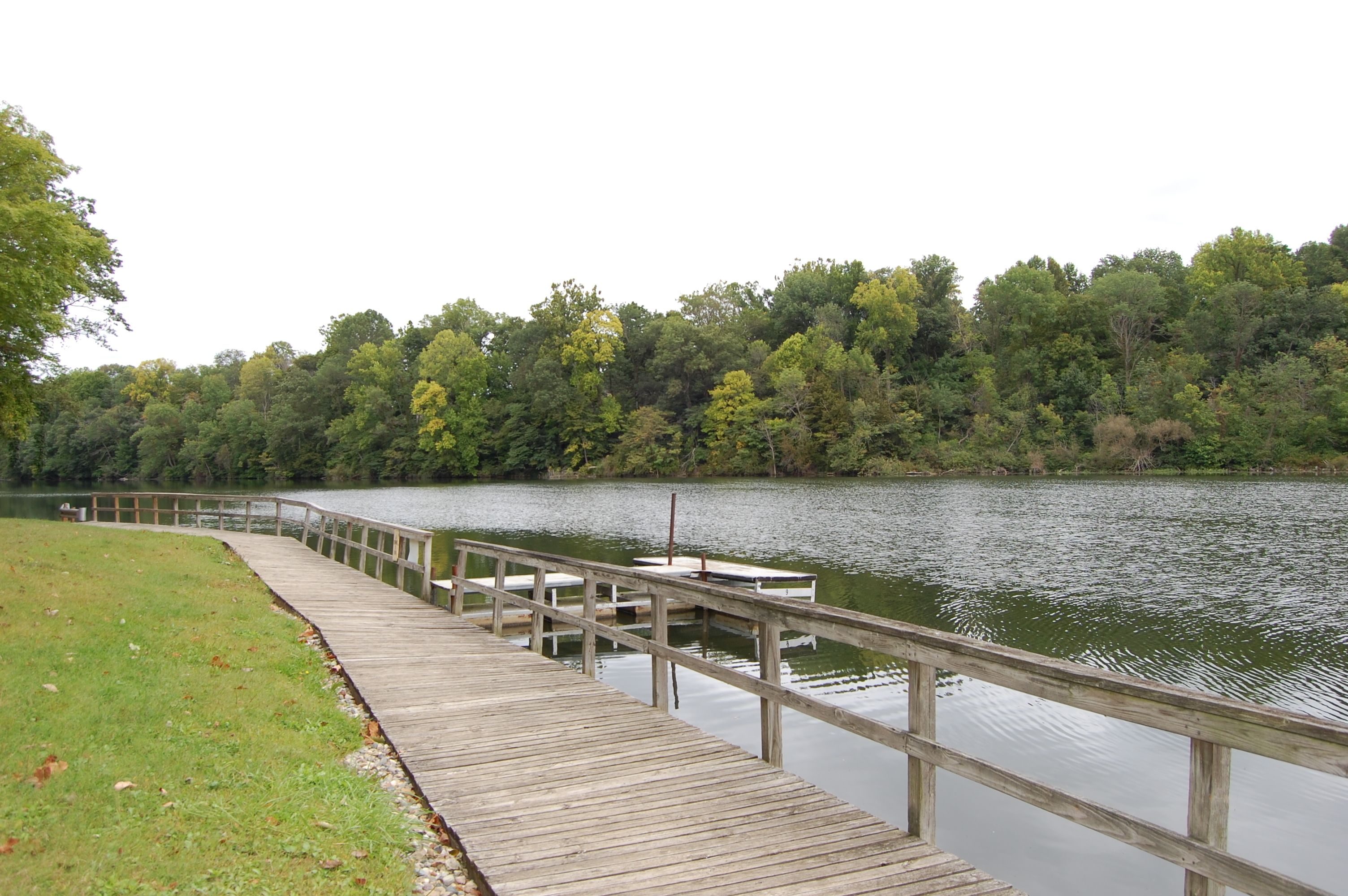 Un muelle de madera se extiende sobre un lago tranquilo, rodeado de un bosque denso.