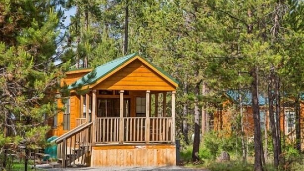 Une cabane en bois dotée d’un porche, entourée d’une forêt dense.