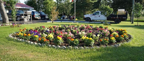 Jardin