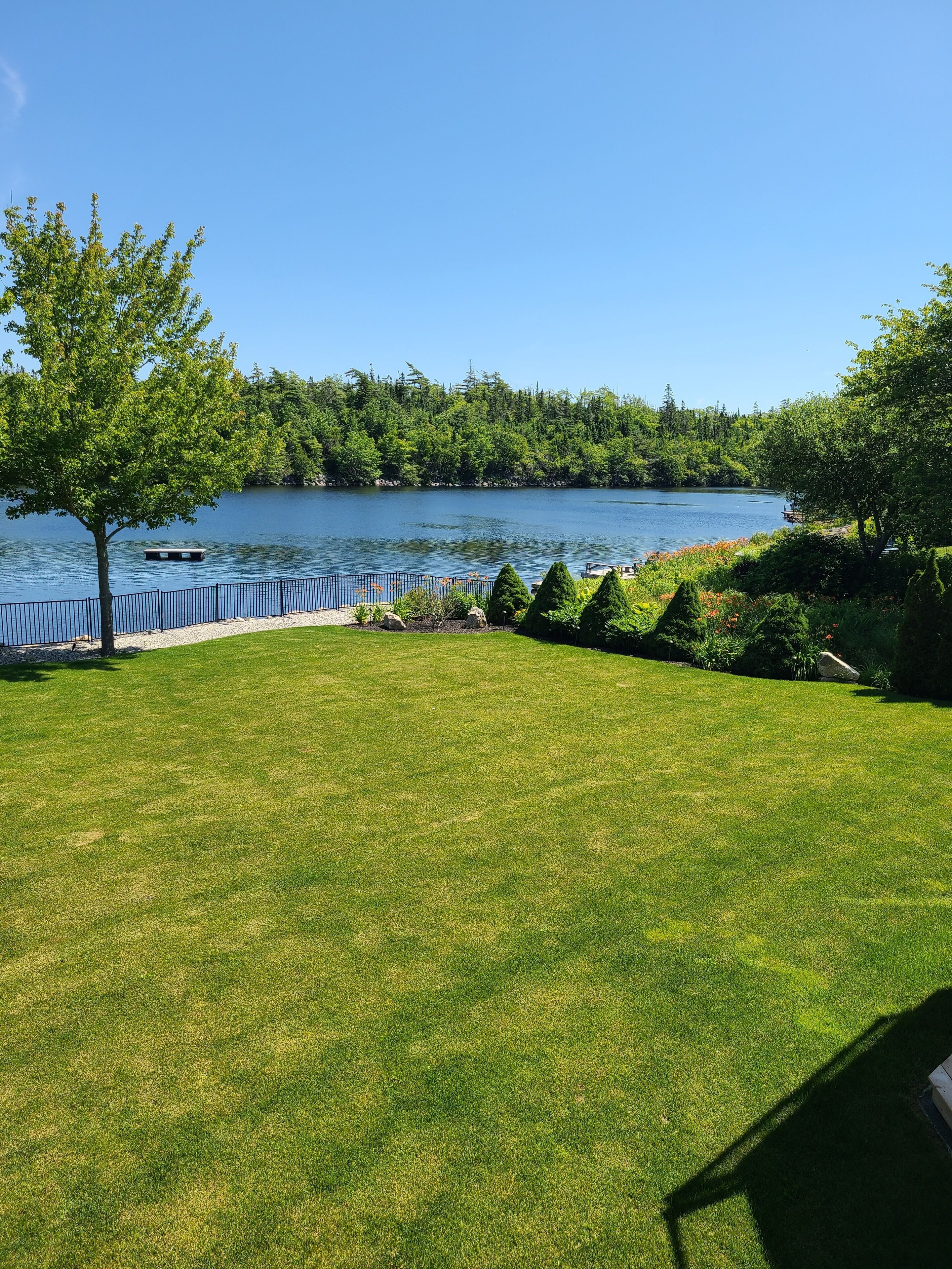 Une pelouse bien entretenue, verdoyante, avec vue sur un lac et une zone boisée.