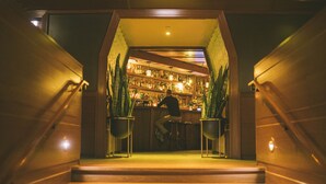 A bar area with a staircase leading up to it, surrounded by potted plants.