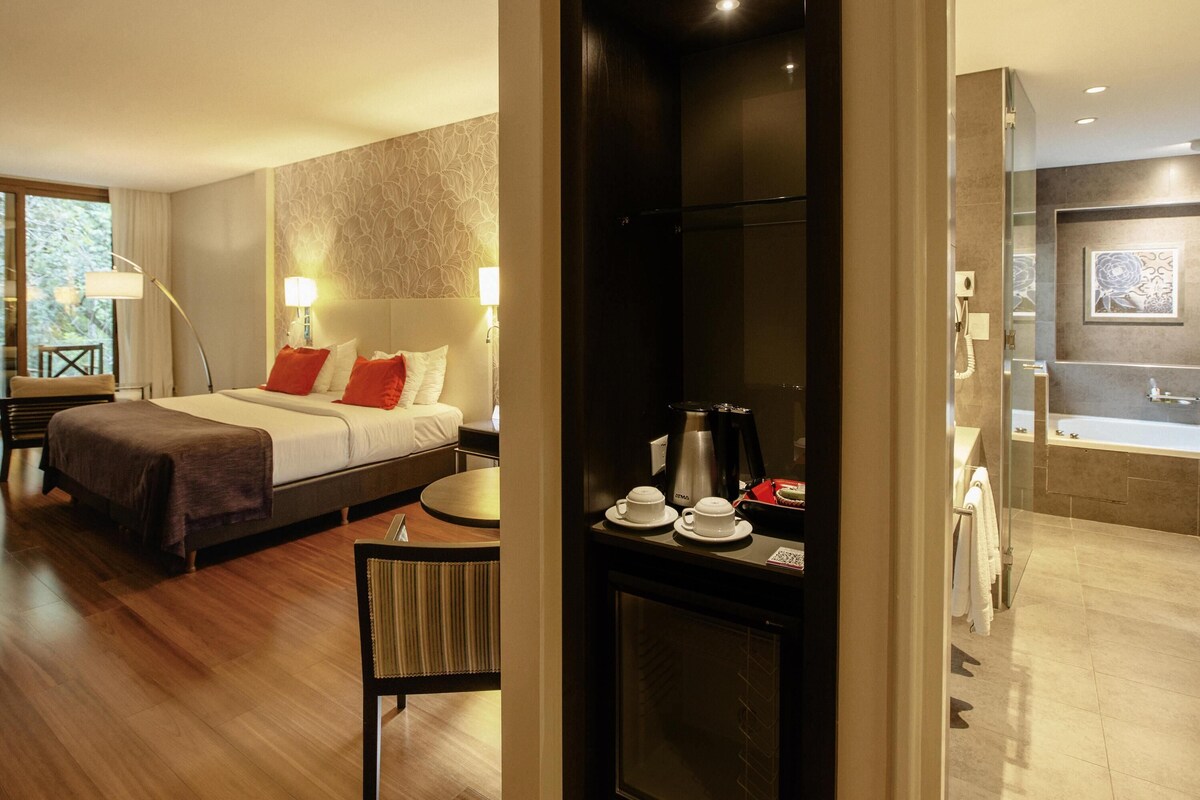 Superior Suite, 1 Double Bed with Sofa bed | Minibar, in-room safe, desk, soundproofing