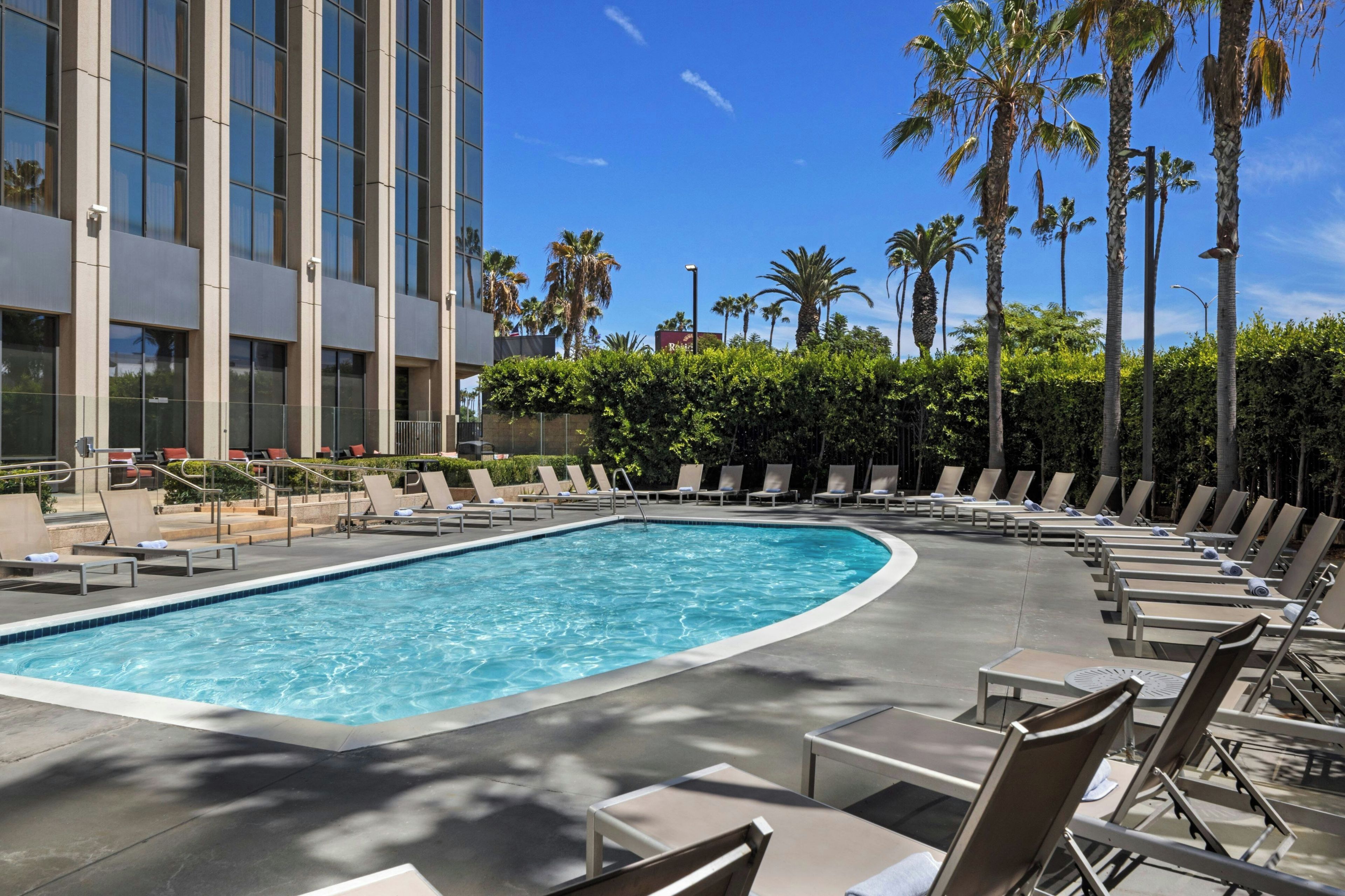 A swimming pool with lounge chairs and palm trees.