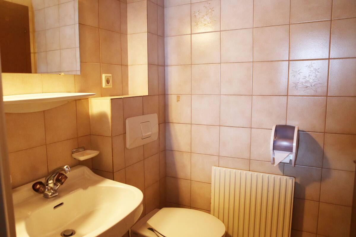 economy single room, mountain view | bathroom | hair dryer, towels