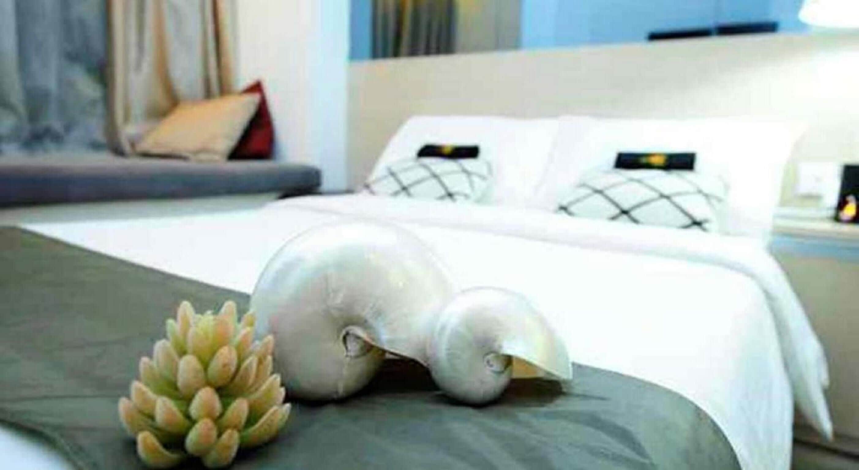 Coffres-forts dans les chambres, rideaux occultants