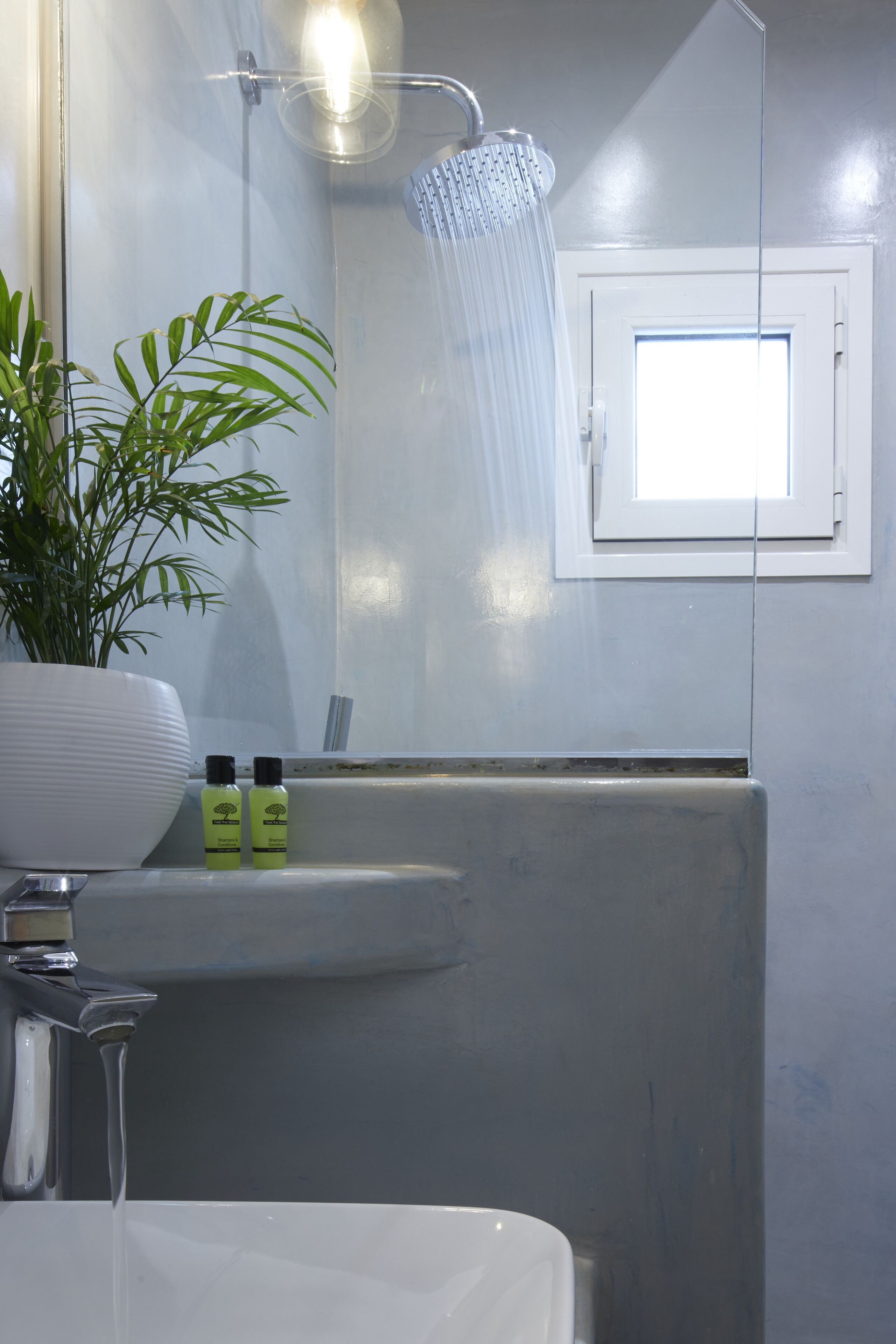A bathroom with a shower, a sink, a potted plant, and two bottles on the counter.