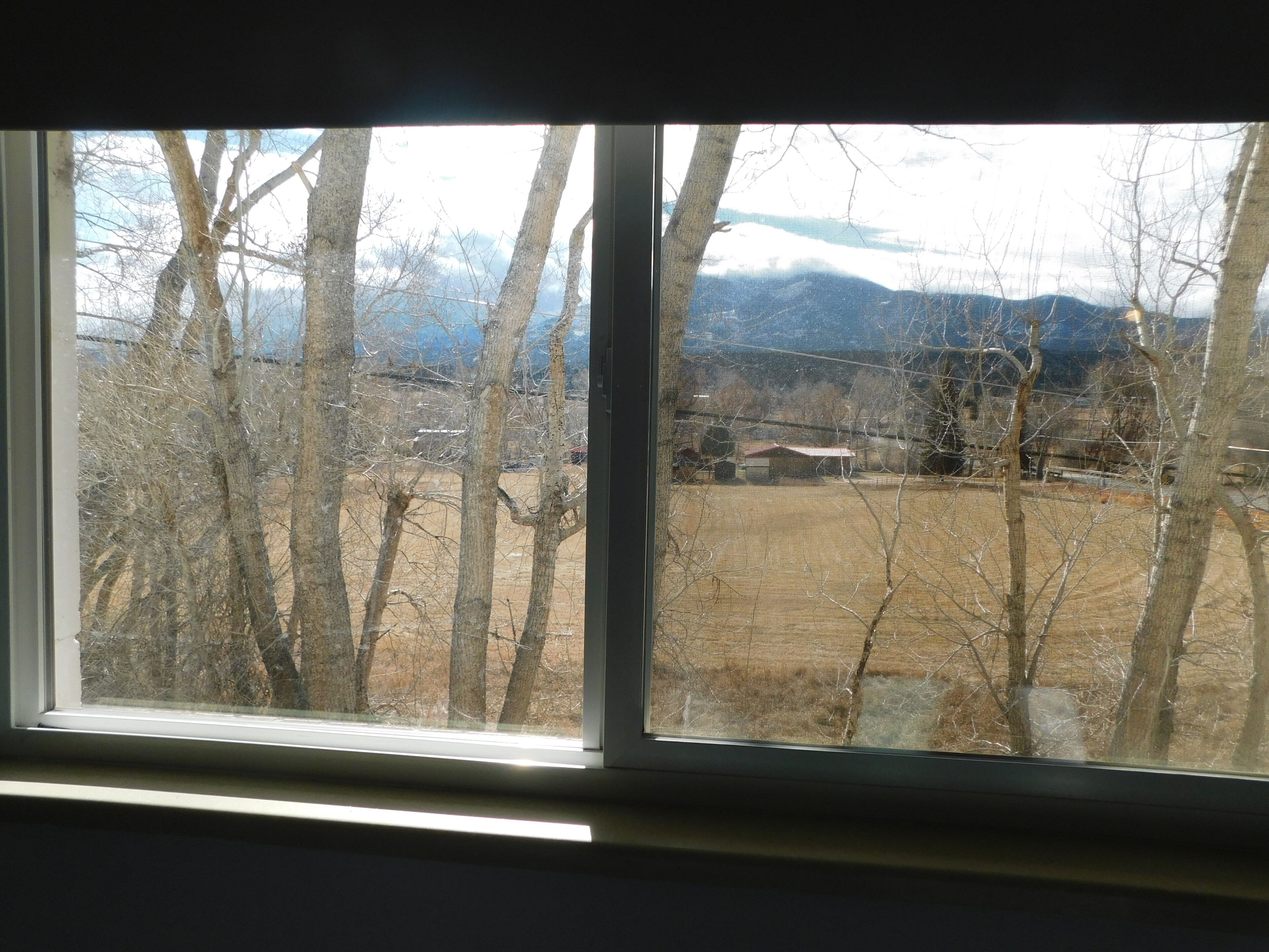 A window with a view of a rural landscape, including trees and a distant building.