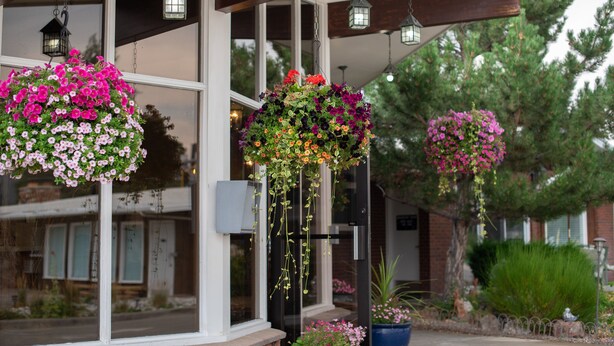 A building with hanging flower baskets and hanging lanterns. - Silver Ridge Lodge (Salida)
