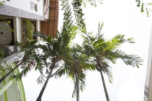 Garden - Spring Hotel (Can Tho)