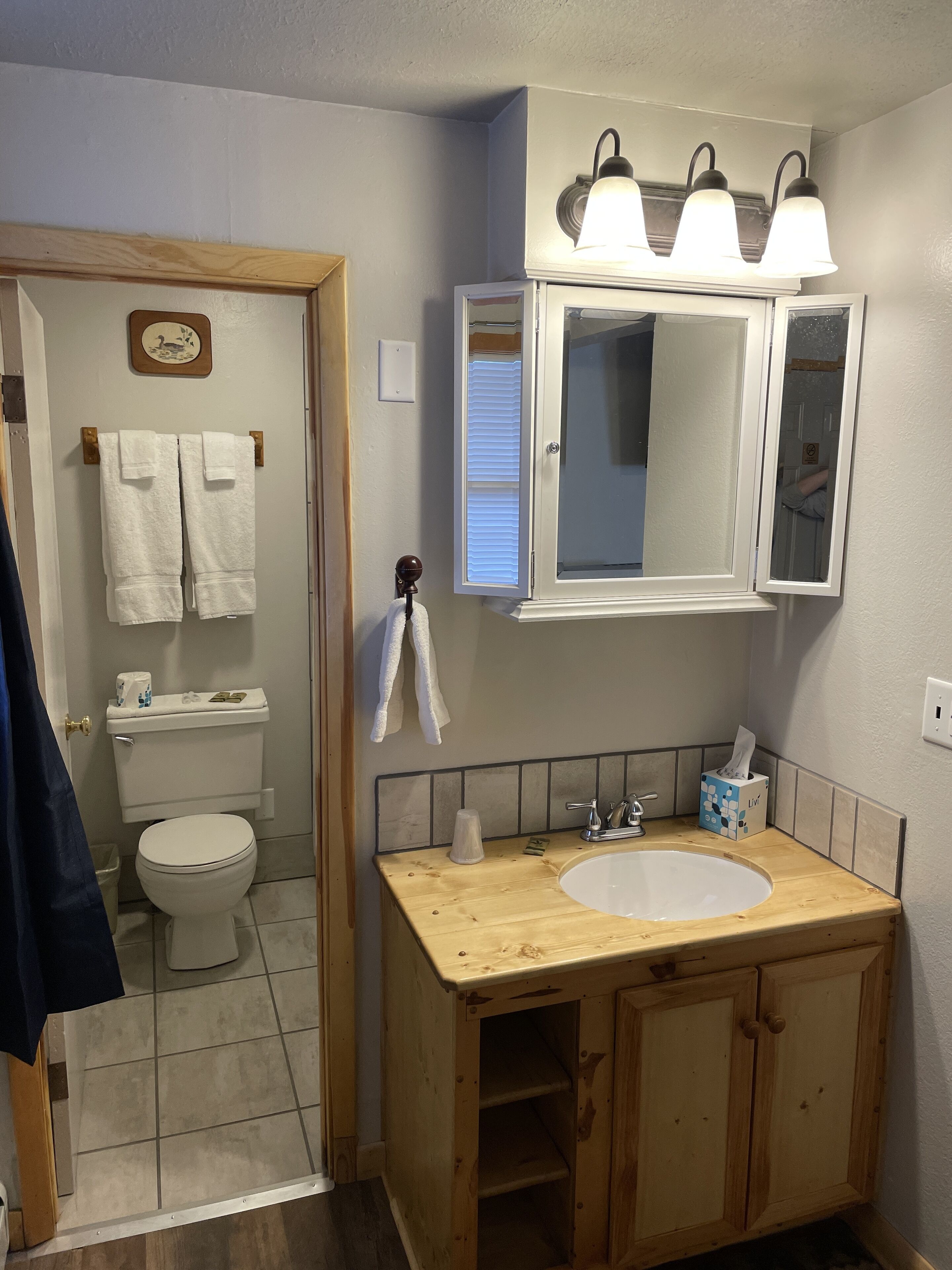 Single Room, 1 King Bed, Non Smoking, Ground Floor | Bathroom | Free toiletries, hair dryer, towels, soap