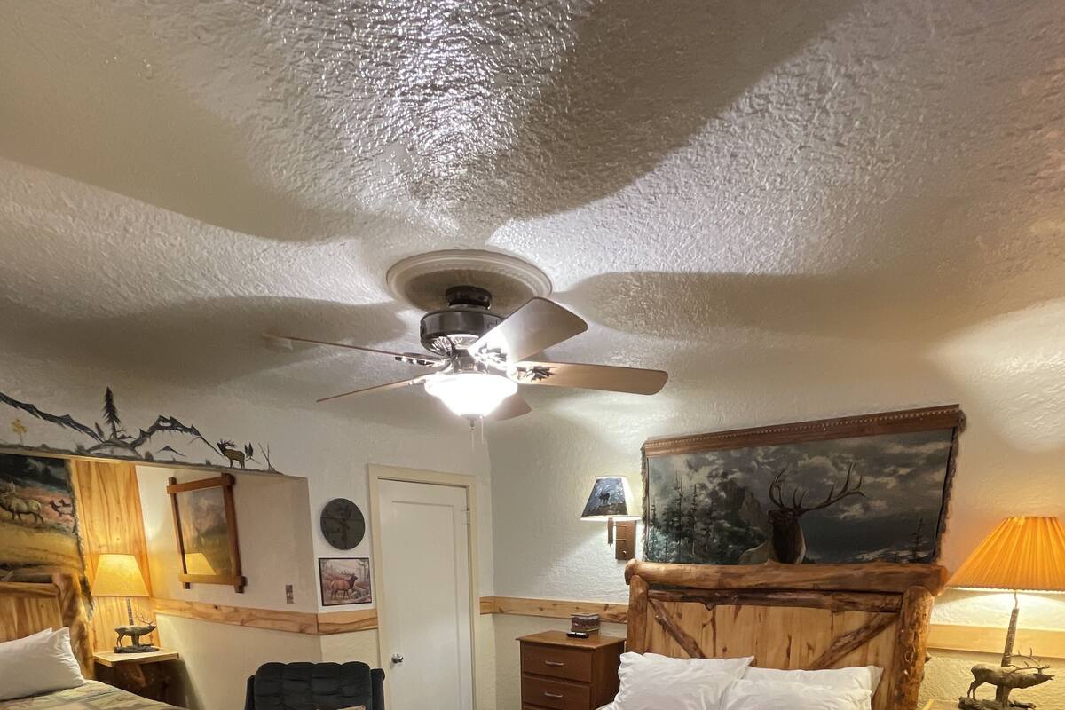 A room with two beds, a ceiling fan, a painting, a lamp, and a rug.