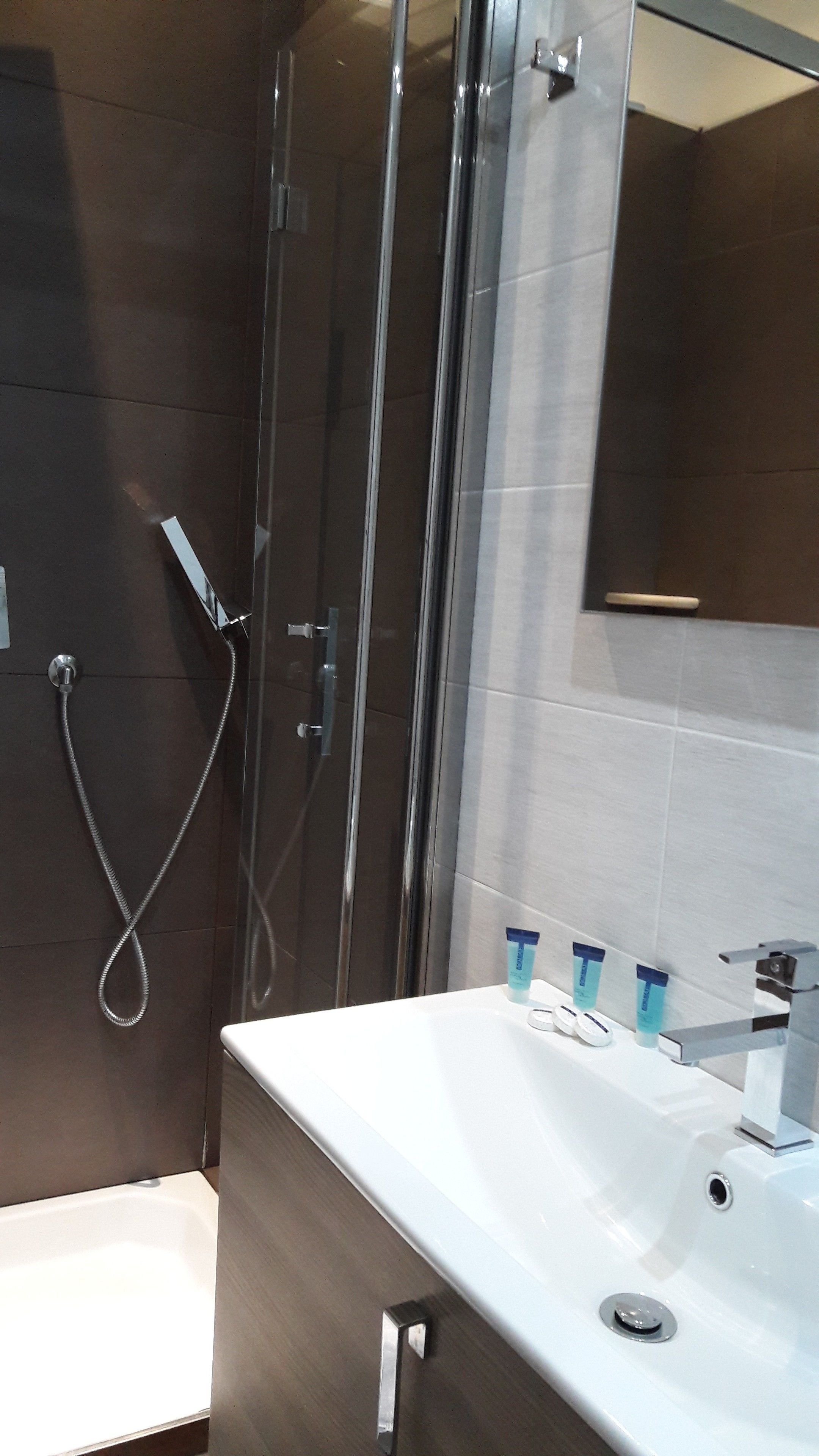 shower, free toiletries, hair dryer, bidet