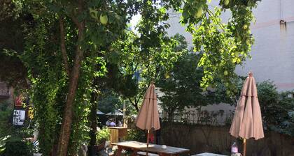 Hongdae Orange Guesthouse