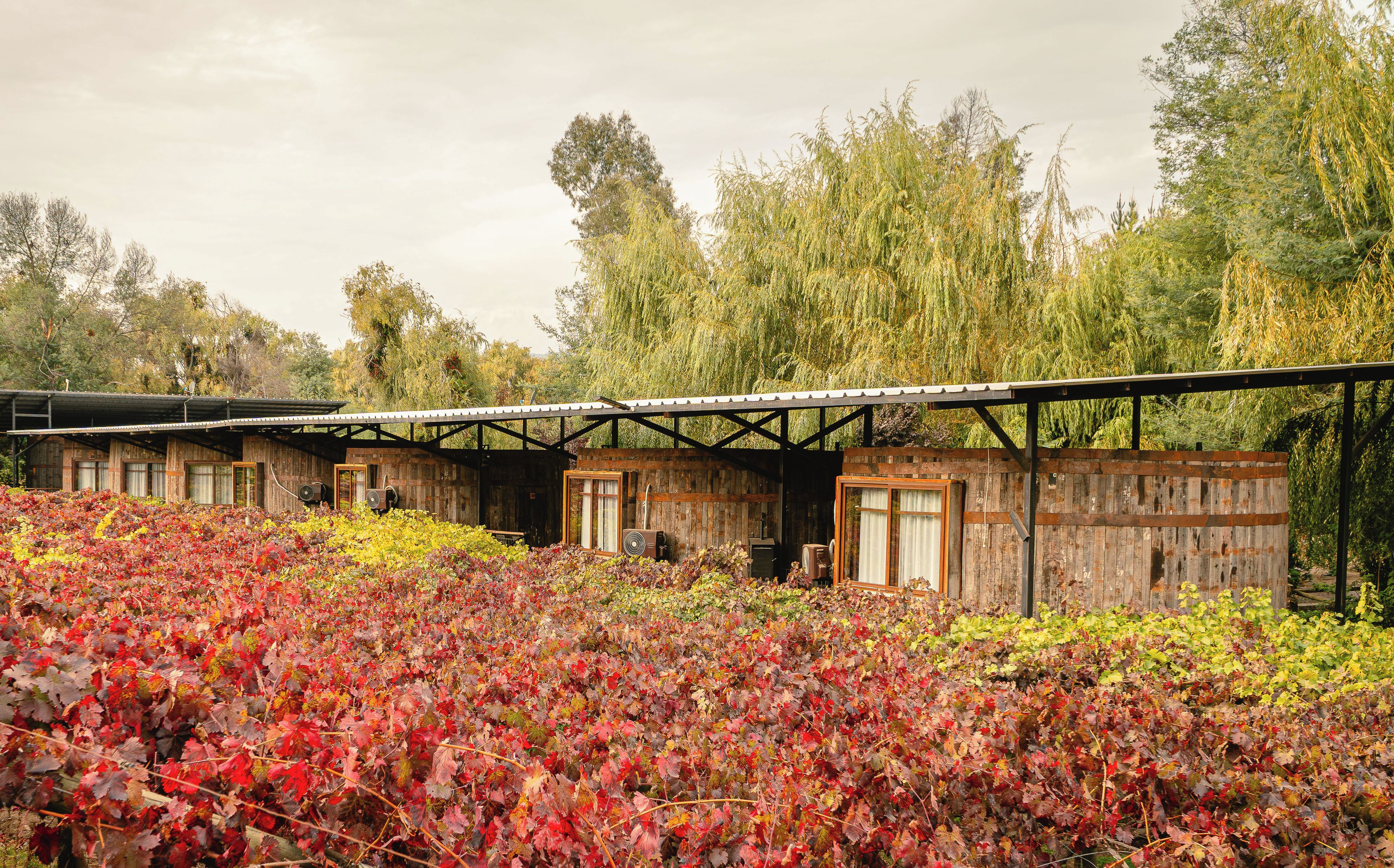 A rustic wooden building with a metal roof, surrounded by a garden with red and yellow foliage.