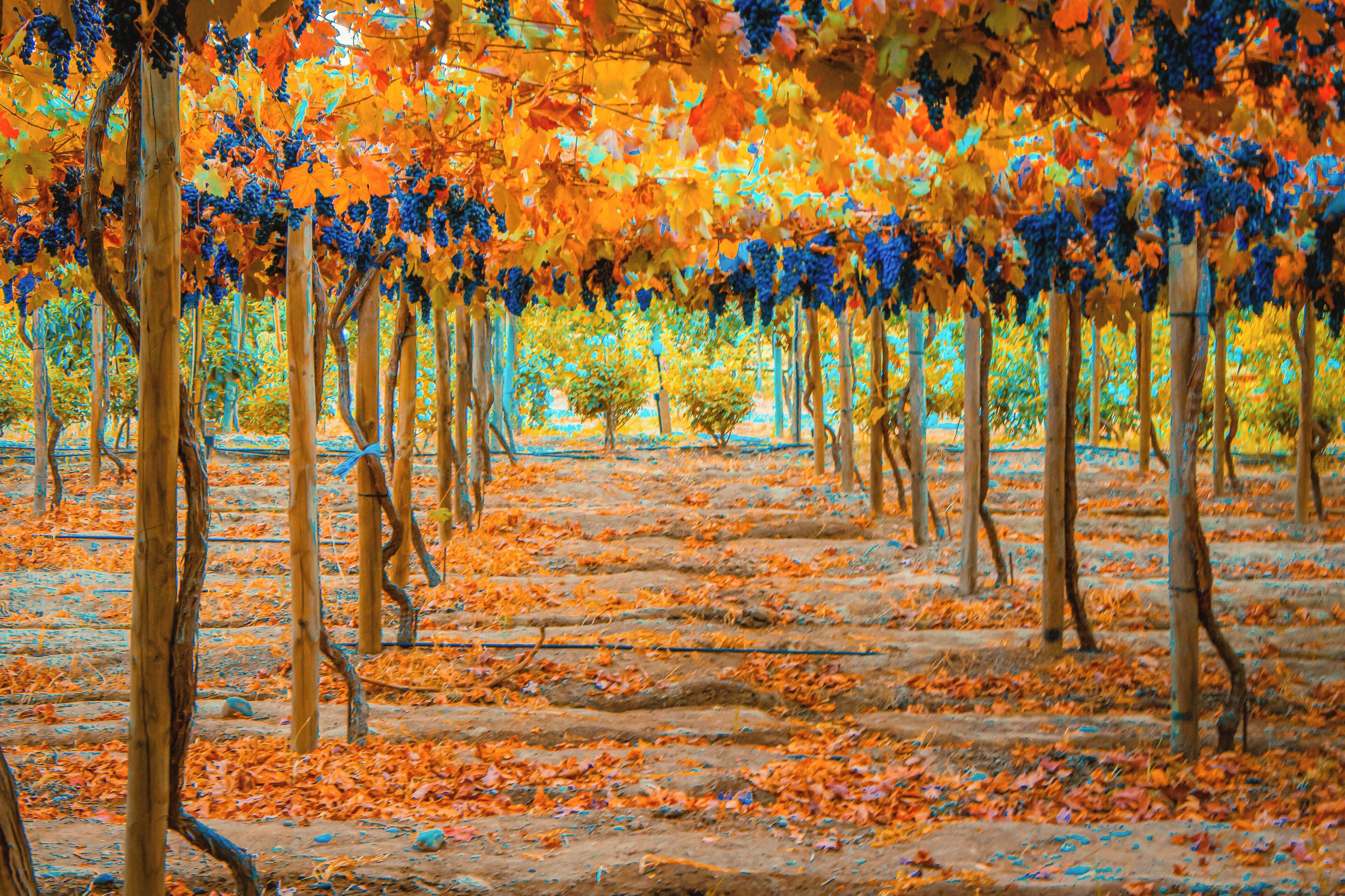 land view from property