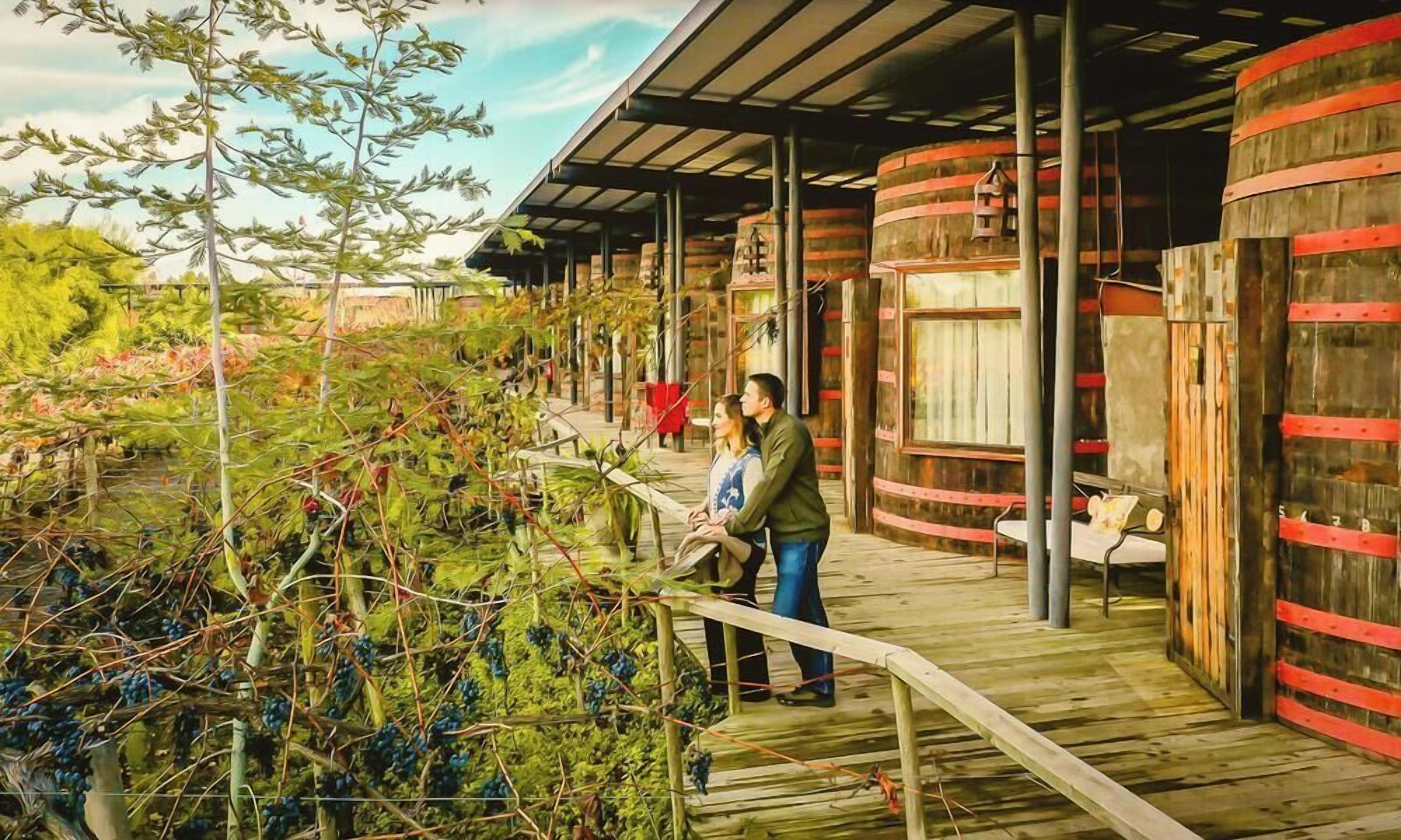 A vineyard with wooden structures and a wooden walkway.
