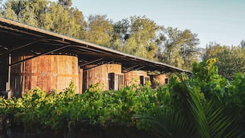 Icono, Habitación en Barrica de Vino | 高級寢具、迷你吧、房內夾萬、床單
