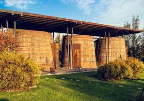 Premium, Habitación en Barrica de Vino