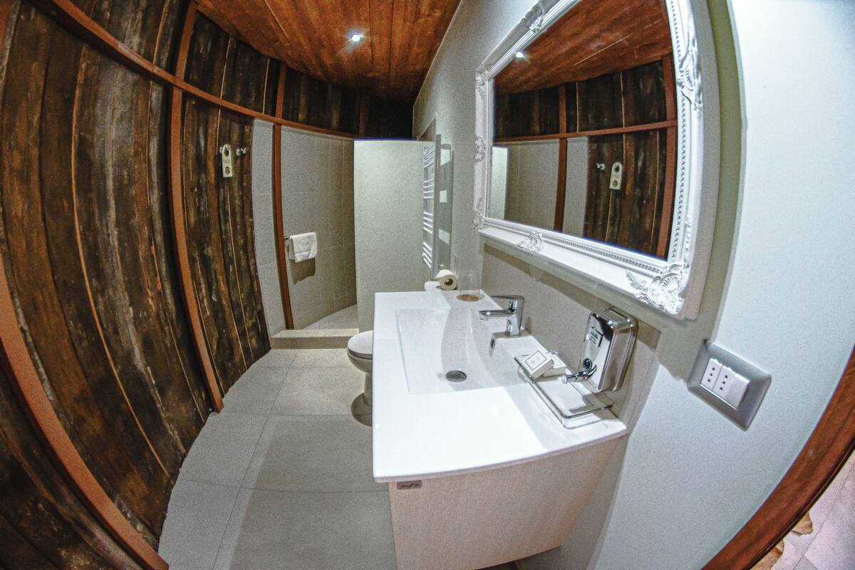 icono, habitación en barrica de vino | bathroom | shower, hair dryer, towels, soap