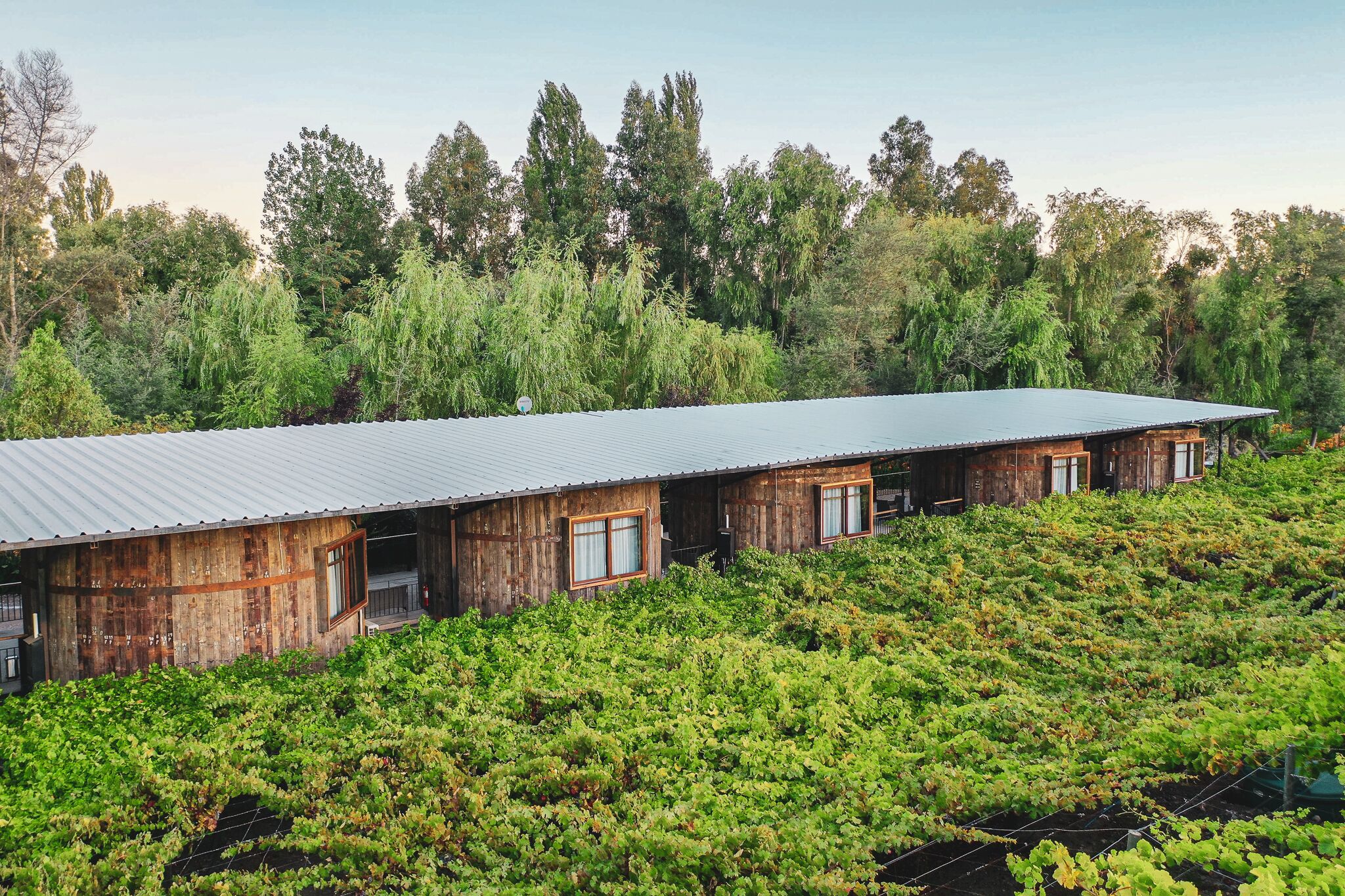 Icono, Habitación en Barrica de Vino | 고급 침구, 미니바, 객실 내 금고, 침대 시트